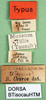 CollectionObject 1502531; 47b9a9b1-41ab-4784-bf2c-8e97b0b9c8fa: labels (syntype of Isophya caucasica). (CollectionObject).