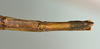 CollectionObject 1561193; e15a0b15-6a04-4cc4-8d19-90d38c185c17: copyright USNM, Washington. (CollectionObject).
