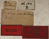 CollectionObject 1535034; b7182fef-3c1a-4af3-9407-f0a342186a30: labels (syntype). (CollectionObject).