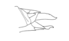 Roppacris griseipes Amédégnato & Descamps, 1979: Fig. 91. female abdomen tip, lateral view. (Otu).