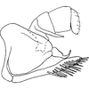 Pygofer, lateral view on Eualebra gingerae Dietrich, 2013: Pygofer, lateral view. (Observation).