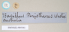 CollectionObject 1558547; 60a19b5b-98ed-4581-b16b-326a9354a656: copyright Natural History Museum, London. female, data labels [round label reversed] (syntype). (CollectionObject).;CollectionObject 1558548; 3181af4a-1fcb-427b-a9c6-e70ddf2ce114: copyright Natural History Museum, London. female, data labels [round label reversed] (syntype). (CollectionObject).