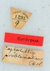 CollectionObject 1506083; 7fd1c47f-65ee-4ec5-99a6-c6e606cbdbfc: labels (syntype). (CollectionObject).