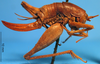 CollectionObject 1575882; 140317a7-cd63-4b01-8ed0-9f0b64147d12: female, lateral view. (CollectionObject).