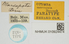 CollectionObject 1584013; 21b1c4d3-07f4-48f4-b84b-642bd2309ada, NHMUK010924474: labels (paralectotype). (CollectionObject).