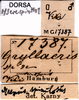 CollectionObject 1507144; 17c29048-7293-4a66-8013-e41368e6c1e9: labels. (CollectionObject).