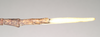 CollectionObject 1558917; 9c710c20-6f8d-45f0-a2c6-e103d0ce7dd5: copyright Natural History Museum, London. female: end of thorax, dorsal view of synonym Haplopus ligia (paralectotype). (CollectionObject).;CollectionObject 1558918; 91108cc7-f465-4d69-b42c-18b503e87bf5: copyright Natural History Museum, London. female: end of thorax, dorsal view of synonym Haplopus ligia (paralectotype). (CollectionObject).