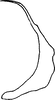 Aedeagus, lateral view on Aplanatus pallibandus Cheng, 1980: Aedeagus, lateral view. (Observation).