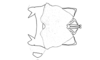 Zygoclistron trachystictum Rehn, 1905: Fig. 57. phallic complex, dorsal view. (Otu).