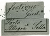 CollectionObject 1501120; df0a4123-1975-493d-a3ae-169080775fc6, MfN 1755: Image Carbonell, C.S. labels (syntype). (CollectionObject).