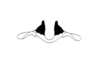 Talamancacris palustris Rowell, 1995: Fig. 7A. male epiphallus, axial view. (Otu).