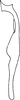 Stylus: !! display not done !! on Arboridia (Arboridia) parvula (Boheman, 1845): Stylus. (Observation).