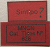 CollectionObject 1535930; 52a49908-d4e9-4e54-abf4-9487428ea0d2: labels (syntype). (CollectionObject).