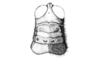 Comansacris hirsutus Ronderos & Cigliano, 1989: Fig. 17. male, head and pronotum, dorsal view. (Otu).