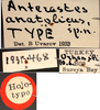 CollectionObject 1517120; 10e19e0d-08b0-4d1f-afde-6a69e9c11da2: label (holotype). (CollectionObject).