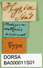 CollectionObject 1501268; cafec964-cc84-4889-88a4-2d2510cd742f: labels (holotype). (CollectionObject).