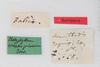 CollectionObject 1505790; f66dcb63-6045-4d5d-acc7-ba5b68075af6: male, labels (syntype). (CollectionObject).