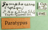CollectionObject 1500268; 7f74666c-f8b6-4189-8fa9-7d9ecf0daf67: labels (syntype of Gomphocerus (Epacromia) socius). (CollectionObject).