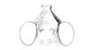 Chortophaga australior Rehn & Hebard, 1911: Fig. 25B. head, dorsal view. (Otu).