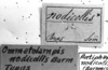 CollectionObject 1538325; aabbef28-c045-450b-9664-83088bbf36f4: labels (holotype). (CollectionObject).