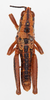 CollectionObject 1504679; c7c984bc-17ad-4287-a67f-15d5904c4dbb: male, dorsal view (holotype of Monistria pustulifera dedita). (CollectionObject).