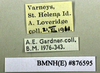 CollectionObject 1573120; 4f6f3598-bd94-4fd9-9d0b-98cc8ff97b95: Copyright Natural History Museum, London. Labels from non-type (adult male) in BM(NH). (CollectionObject).