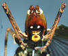 CollectionObject 1516501; ead523d2-5672-4346-b9ac-d96dd1b0f068: male, frontal view (paratype). (CollectionObject).