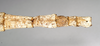CollectionObject 1557417; NHMUK(SF IMPORT DUPLICATE) 844928, f1282a57-261f-496b-a817-e33d82624184: copyright Natural History Museum, London. female: end of abdomen, dorsal view of Ischnopoda phillipsi (holotype). (CollectionObject).