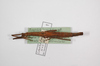 CollectionObject 1584199; 160b7061-10ba-4bff-8264-24f0c3ed3c47: copyright MHNG, Geneva. female (holotype). (CollectionObject).
