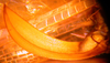 CollectionObject 1543528; 84a3bf40-ab9c-41f6-8852-fad03c794285: ovipositor (syntype). (CollectionObject).