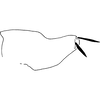 Pygofer, lateral view on Exitianus okahandia Ross, 1968: holotype. (Observation).