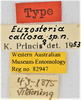 CollectionObject 1619106; bfa4204c-f956-43f3-a65c-b9af75f1ceae: (CollectionObject).
