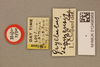 CollectionObject 1517749; 2cbed9b2-8ff2-4743-9346-ccaddd040866: labels (holotype). (CollectionObject).