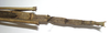 CollectionObject 1557407; 986988c8-bd6c-4d77-9865-31dcdbb0b6ea: copyright MRAC, Tervuren. female: end of abdomen, dorsal view (holotype). (CollectionObject).