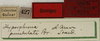 CollectionObject 1535916; f6c7ff0c-74bc-4909-bf0d-268cb19451df: labels (syntype). (CollectionObject).