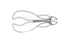Tristira magellanica (Bruner, 1900): Fig. 21. endophallus, dorsal view. (Otu).