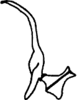 Stylus on Thailocyba elbeli Mahmood, 1967: Stylus or paramere. (Observation).