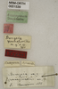 CollectionObject 1529753; 8392cf3e-a857-47a7-a025-c7c2e92e4284: labels (holotype). (CollectionObject).