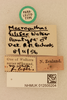 CollectionObject 2067025; 5b9948ed-c3a0-45d1-aff5-ec2735102fbb, NHMUK012505204: labels (paralectotype). (CollectionObject).