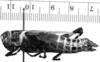 CollectionObject 1540851; 61addda2-0ddf-4c05-9a70-7343e1ae23d2: Image, Carbonell, C.S. female, lateral view (holotype). (CollectionObject).