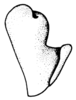 Leiotettix flavipes Bruner, 1906: Fig. 31. epiphallus, lateral view. (Otu).
