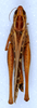 CollectionObject 1578677; f43383f0-84b7-4f97-8b15-9e88e32fbc37: female, dorsal view. (CollectionObject).