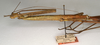 CollectionObject 1559559; NMW 907, 4aa46df5-20ae-4a4f-884a-f7a83eca885b: copyright NMW, Vienna. female Paramyronides perakensis: head and thorax, lateral view (lectotype). (CollectionObject).
