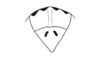 Pseudococama aureoguttata Descamps & Amédégnato, 1971: Fig. 50. epiproct, dorsal view. (Otu).