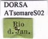 CollectionObject 1538355; a710565a-be24-4536-bb0c-713f3cdb6e68: labels. (CollectionObject).