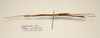 CollectionObject 1591064; 59df0bd9-68d0-40e3-9c32-c9a8c91fc998: copyright ZRC Singapore. female, lateral view (paratype). (CollectionObject).