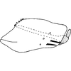 Pygofer, lateral view on Atanus baianus Zanol, 1998: Pygofer, lateral view. (Observation).