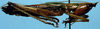 CollectionObject 1533095; a26f7ce7-cdb5-491c-a762-cbc76b537e8d: male, lateral view (holotype). (CollectionObject).