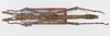 CollectionObject 1581484; 601aaab1-9f4d-494f-82cb-9f429d3f9c9c: copyright Frank Hennemann. male, dorsal view (paratype). (CollectionObject).;CollectionObject 1581485; 3938798b-529d-44e9-82ff-15e0daf0f616: copyright Frank Hennemann. male, dorsal view (paratype). (CollectionObject).;CollectionObject 1581486; 1af7e260-95ab-4227-a8ca-0b12eff77cd5: copyright Frank Hennemann. male, dorsal view (paratype). (CollectionObject).