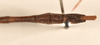 CollectionObject 1561734; 2f5df380-c182-446d-acab-d8f79b9ce006: copyright OUMNH. male: end of abdomen, dorsal view (holotype). (CollectionObject).